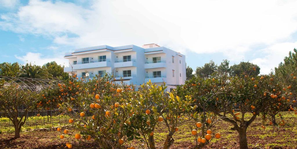 Sunset Oasis Ibiza Adults Only - New Rooms 2025 San Antonio  Kültér fotó